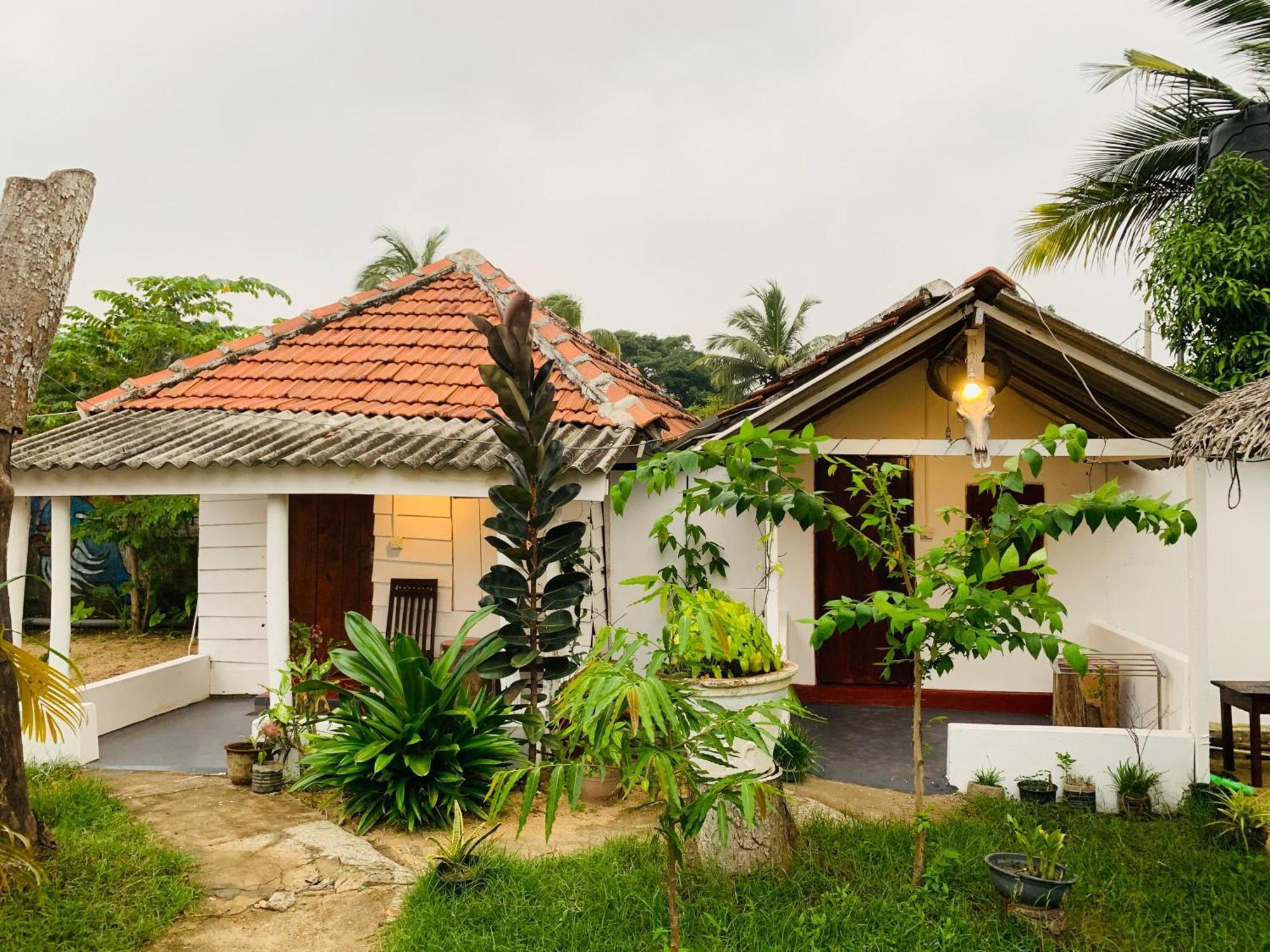 ארוגם Little Fairy Home B&B מראה חיצוני תמונה